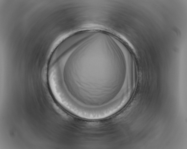 X0000112971421200909241318