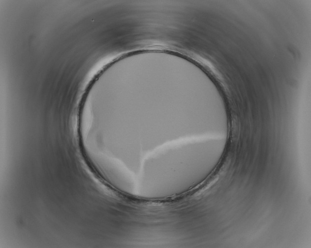 X0000112971424200909241318