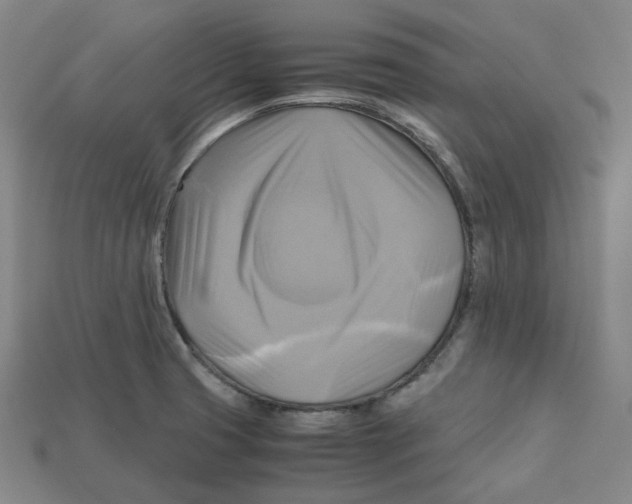X0000112971425200909241318