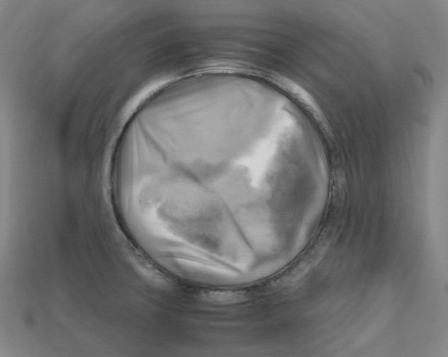 X0000112971427200909241318
