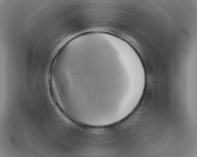 X0000112971428200909241318