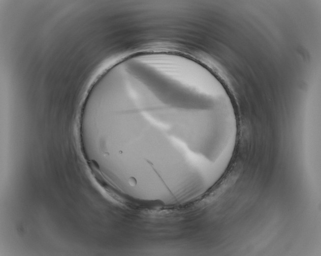 X0000112971429200909241318