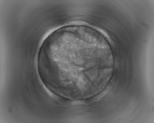 X0000112971430200909241318