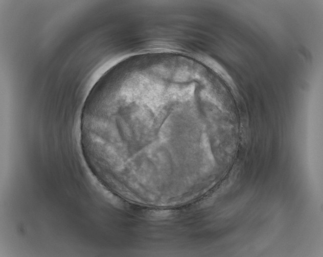 X0000112971431200909241318