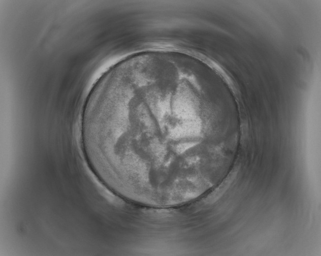 X0000112971432200909241318
