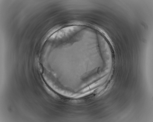 X0000112971433200909241318