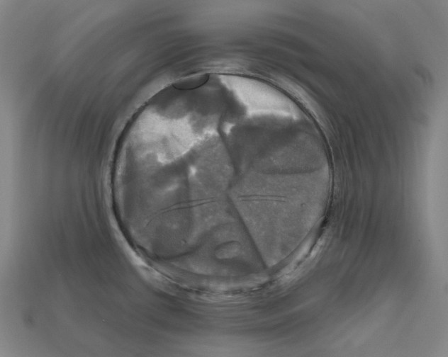 X0000112971434200909241318