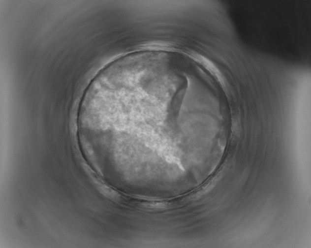 X0000112971435200909241318