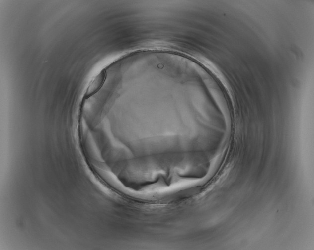 X0000112971437200909241318