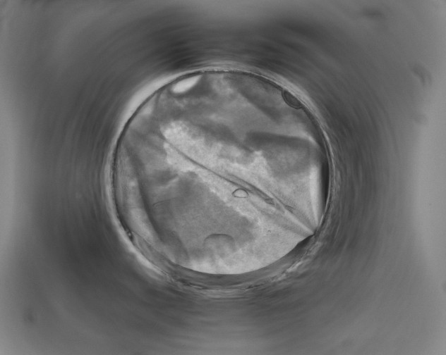 X0000112971440200909241318