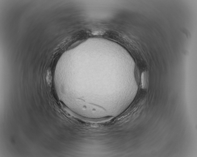 X0000112971443200909241317