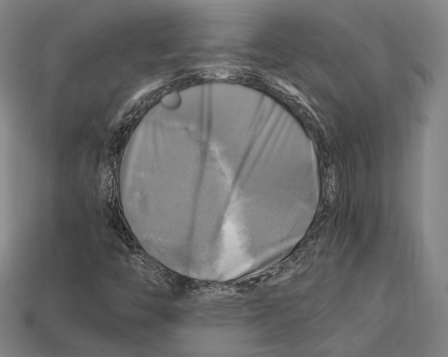 X0000112971446200909241317