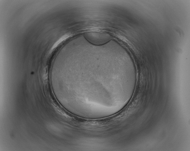 X0000112971450200909241317