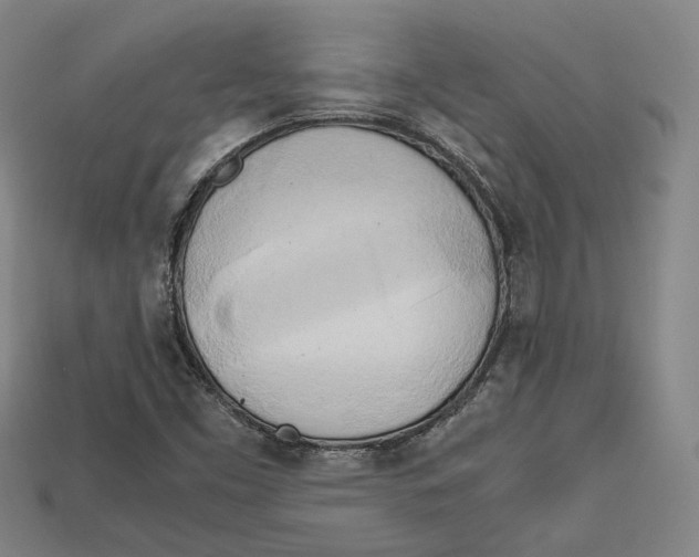 X0000112971453200909241317