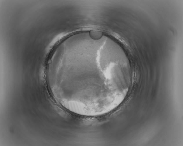 X0000112971454200909241317