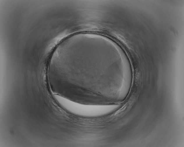 X0000112971455200909241317
