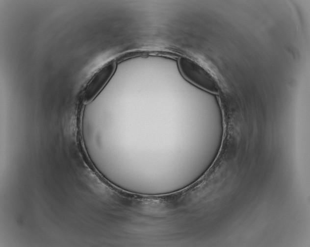 X0000112971456200909241317