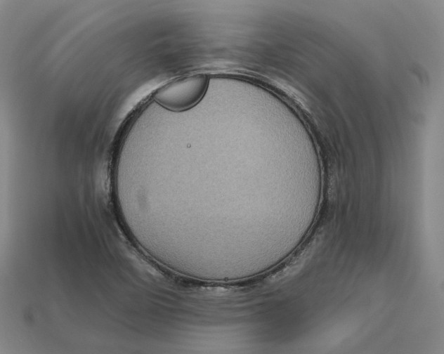 X0000112971458200909241317