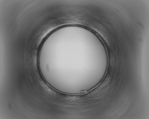 X0000112971460200909241317