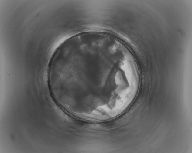 X0000112971463200909241317