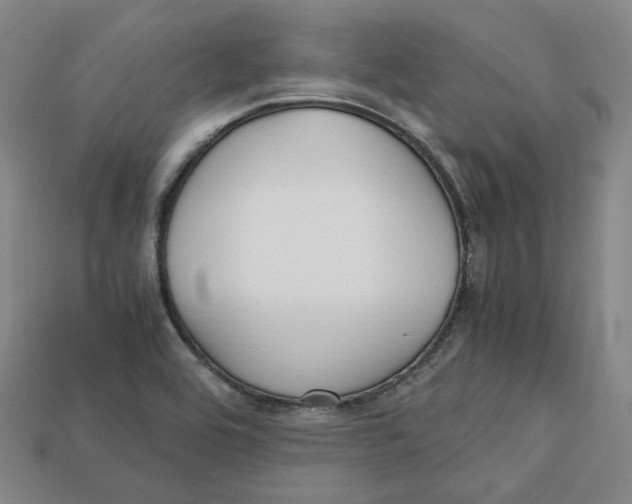 X0000112971464200909241317