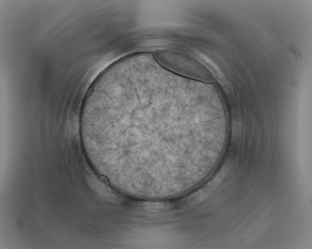 X0000112971465200909241317