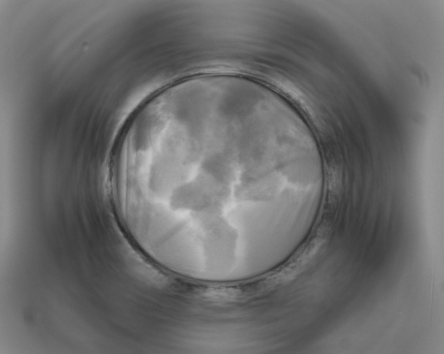 X0000112971466200909241317
