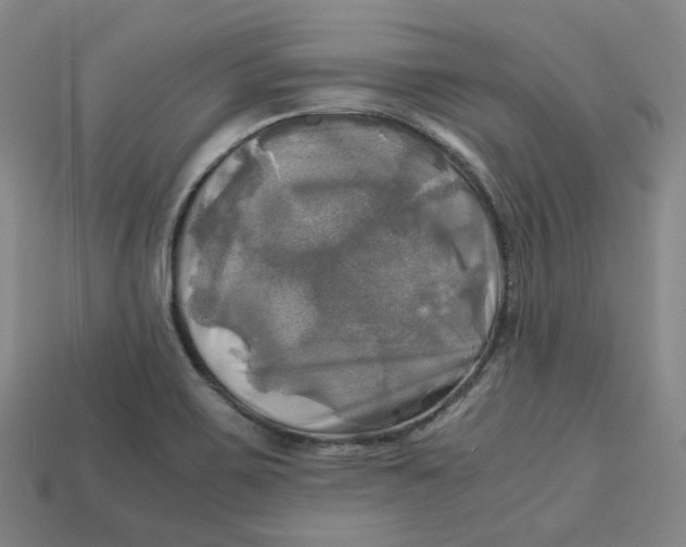 X0000112971467200909241317