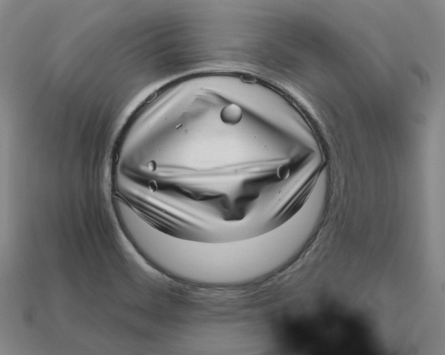 X0000112971468200909241317
