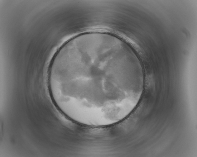 X0000112971470200909241317