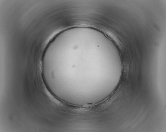 X0000112971476200909241317