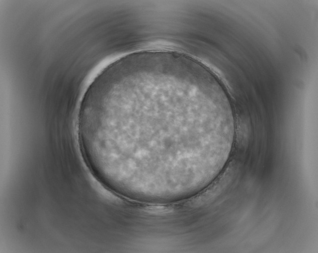 X0000112971478200909241317