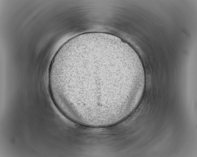 X0000112971479200909241317