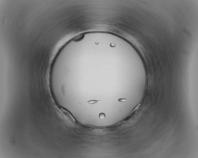 X0000112971480200909241317