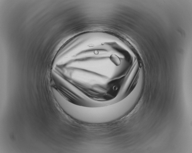 X0000112971481200909241317