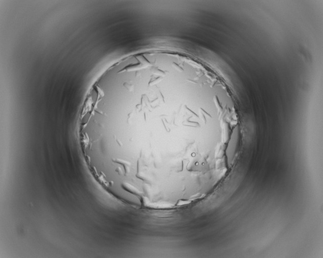 X0000112971484200909241317
