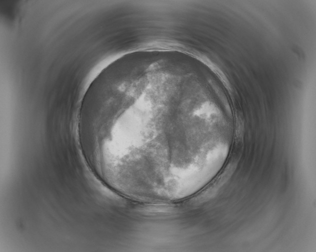 X0000112971486200909241317