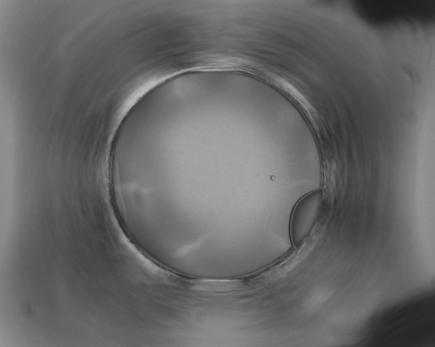 X0000112971487200909241317
