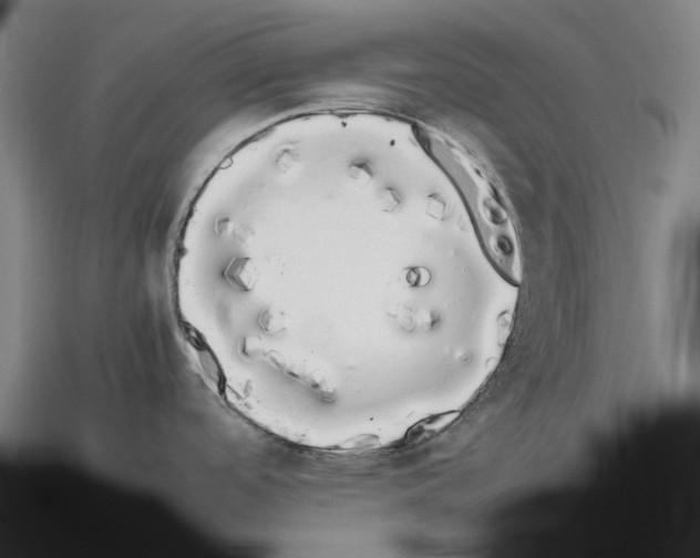 X0000112971488200909241317