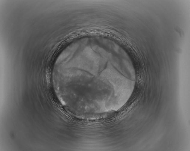X0000112971490200909241316