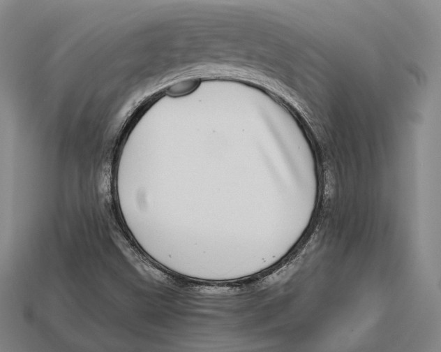 X0000112971499200909241316