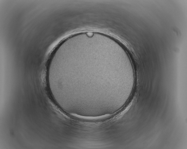 X0000112971502200909241316