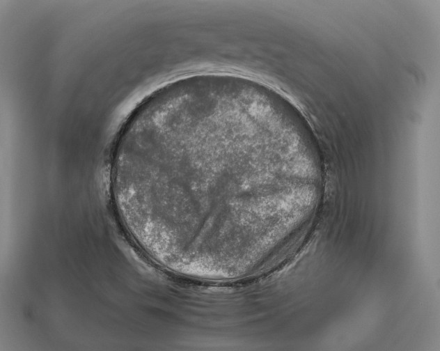 X0000112971503200909241316