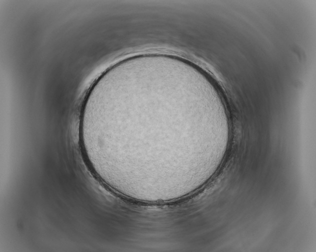 X0000112971504200909241316
