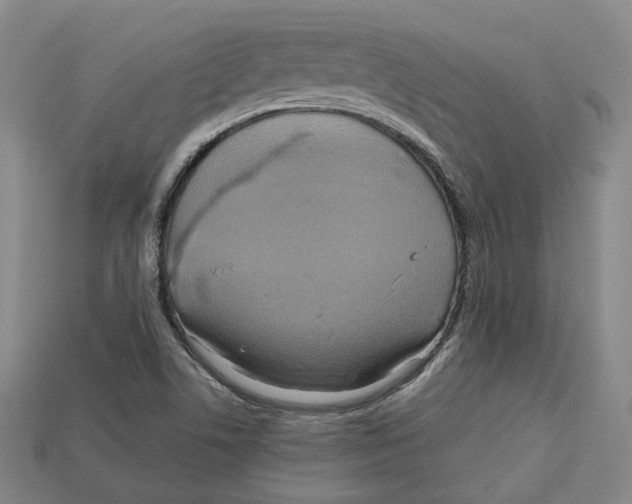 X0000112971506200909241316