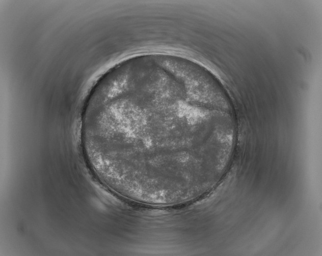 X0000112971507200909241316