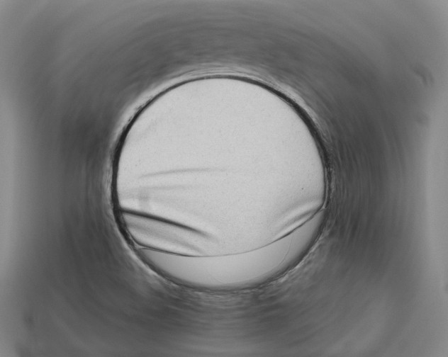 X0000112971508200909241316