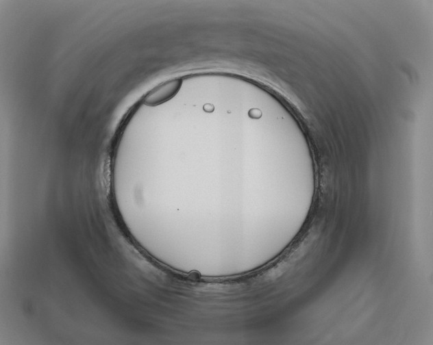 X0000112971510200909241316