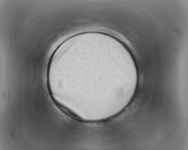 X0000112971512200909241316