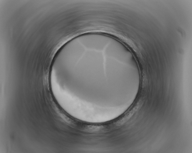 X0000112971513200909241316